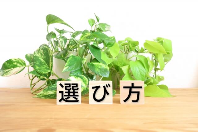 【医療機器の搬出・搬入】選び方の積み木